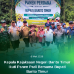 Kepala Kejaksaan Negeri Barito Timur Ikuti Panen Padi Bersama Bupati Barito Timur